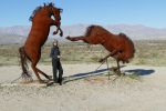 PICTURES/Borrega Springs Sculptures - Horses, Sheep & Camel/t_P1000471.JPG